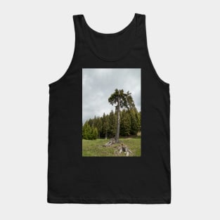 View from Bucegi mountains, Romania, Bucegi National Park Tank Top